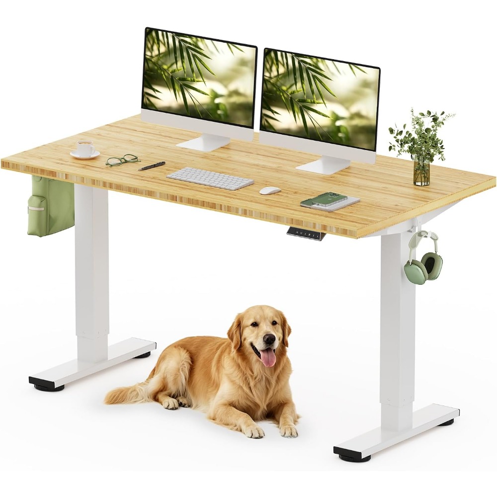 Desk Setup Natural - FLEXISPOT 55