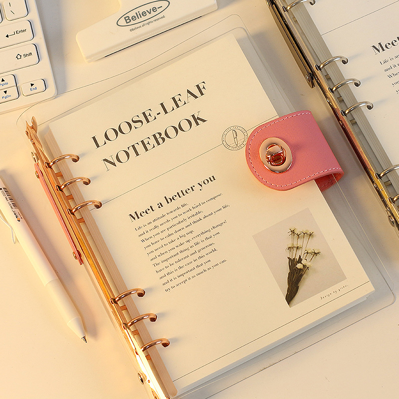 A5 B5 Rose Gold With Wallet Bu - Ring Binder Box recension och pris